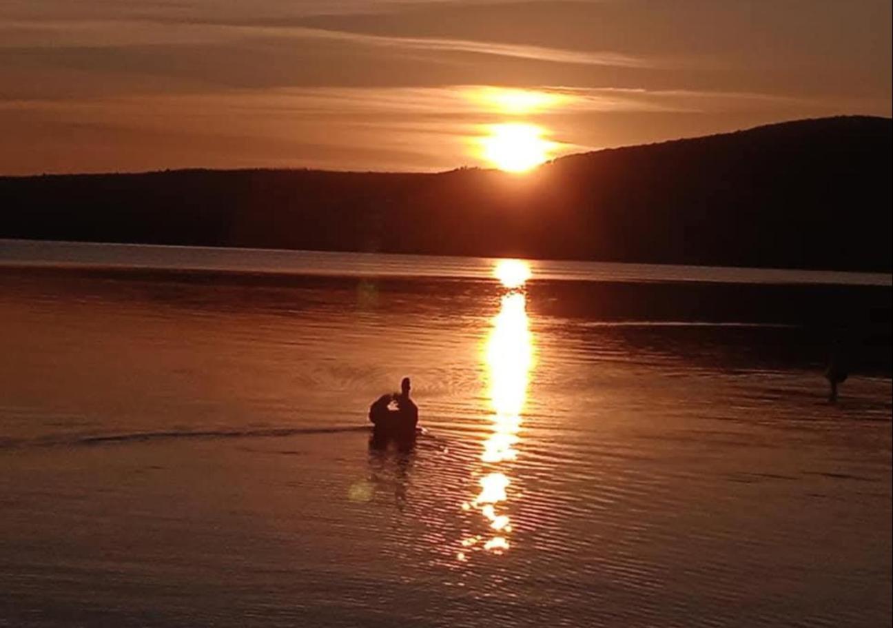 טרוויניאנו רומאנו Dolce Lago מראה חיצוני תמונה